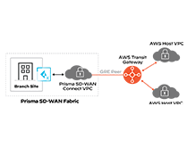 Palo Alto PRISMA SD-WAN